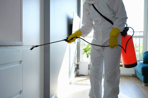 Best Mold Cleaning Services  in Blue Ash, OH