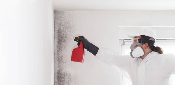 Best Crawl Space Mold Removal  in Blue Ash, OH
